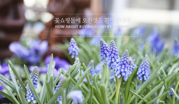 �Ұ��̹���