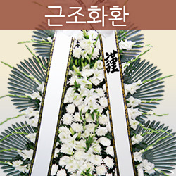 ������ ī�װ��� #6