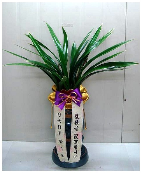 뱸 -