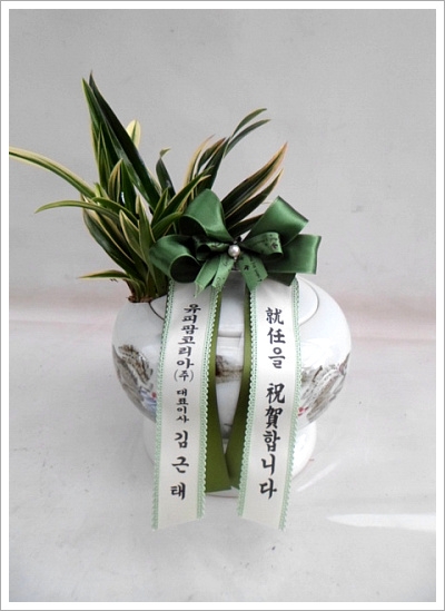뱹-ڵڱ