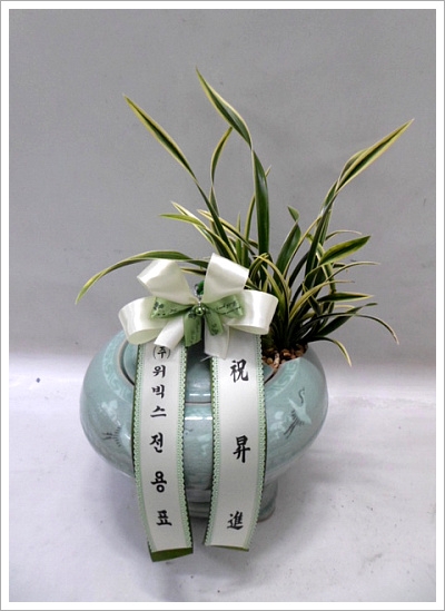 -뱹ڱ