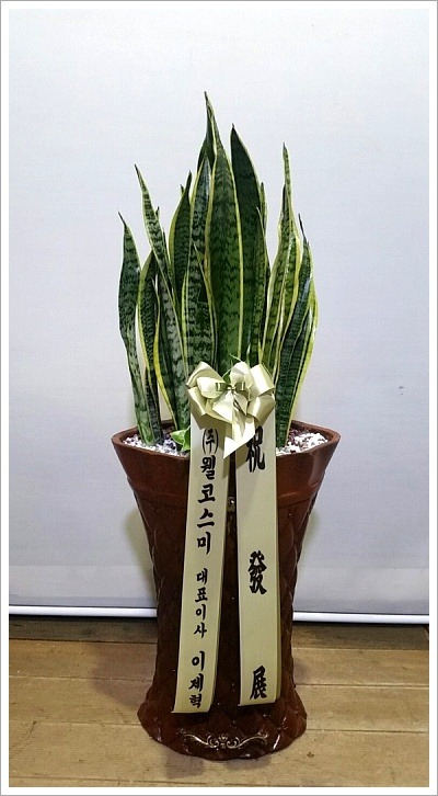 _꼼