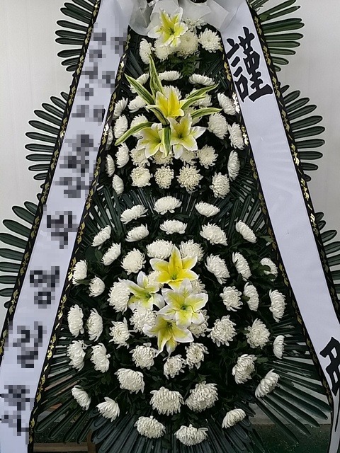 3ȭȯ