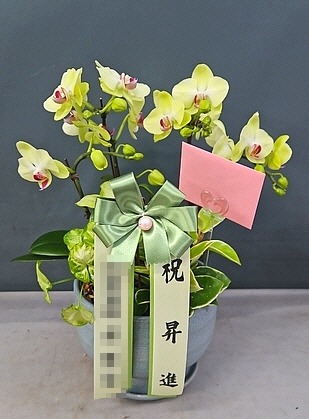 糭 