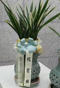 糭 