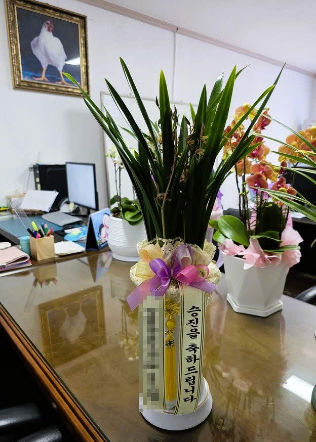 糭 