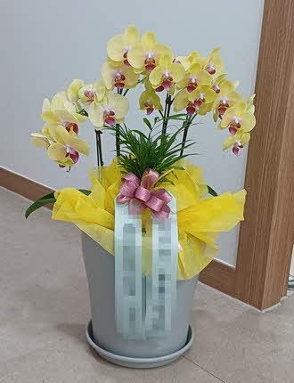 糭 