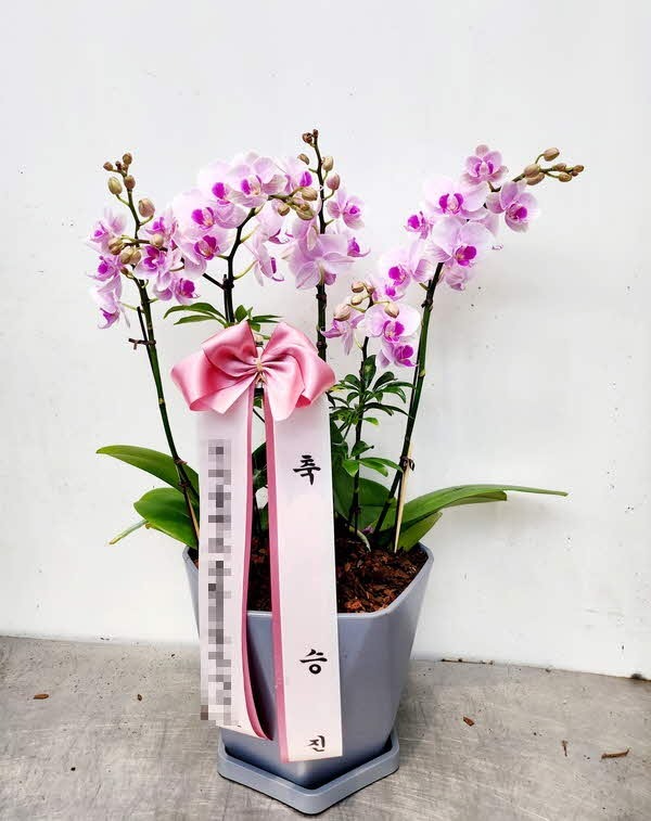 糭 