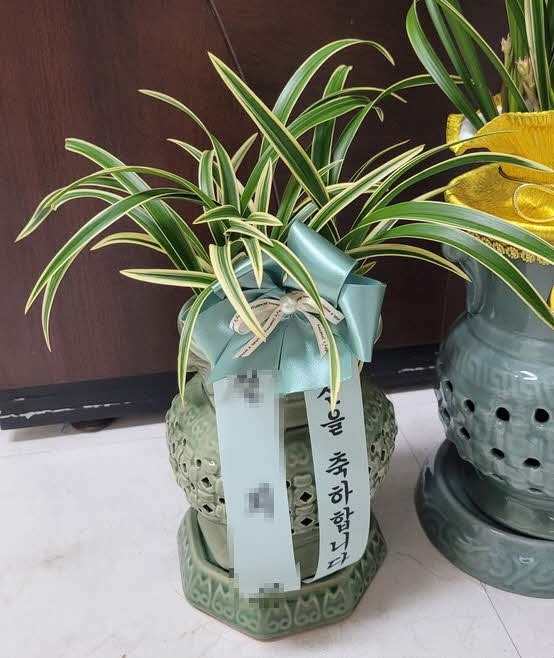 糭 