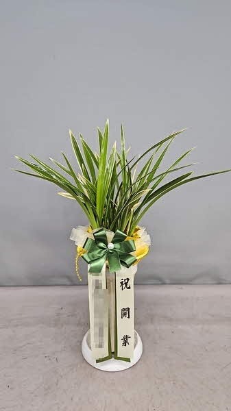 糭 
