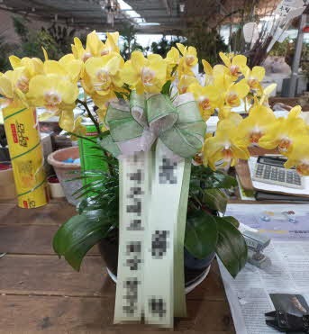 糭 