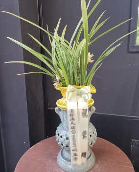 糭 
