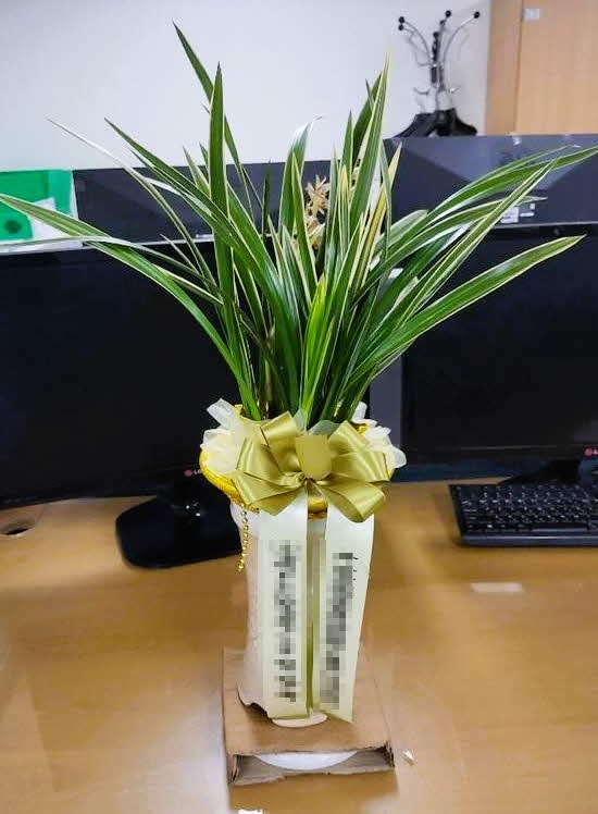 糭 