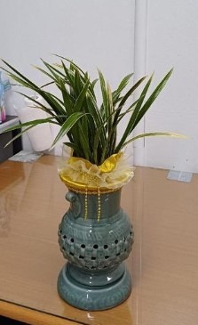 糭