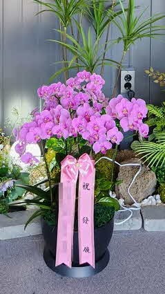 糭