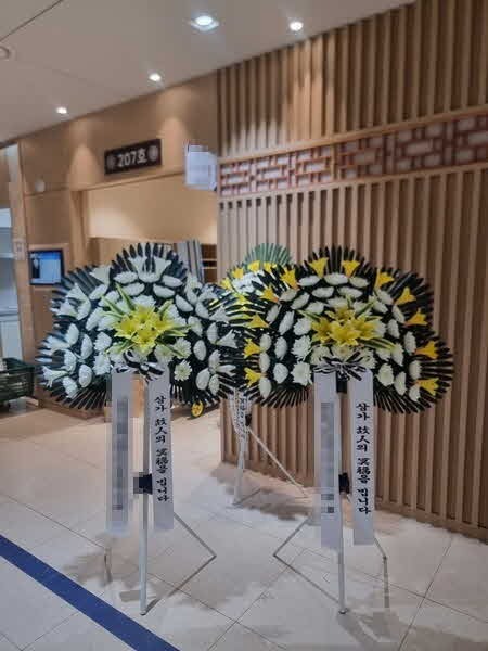 ����������ȭȯ 