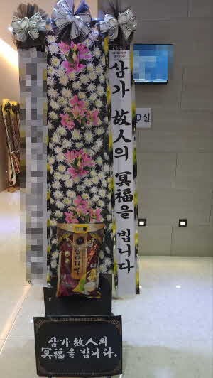 ������ȭȯ 