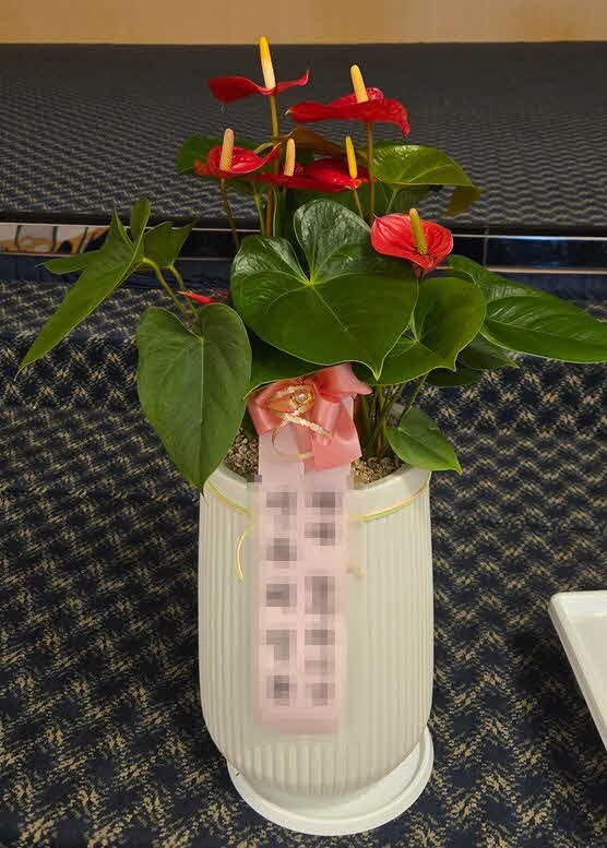 �Ƚ����� 