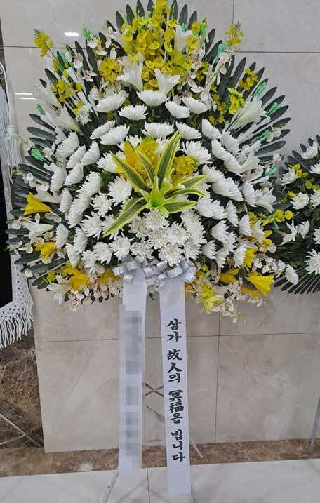 ����������ȭȯ 